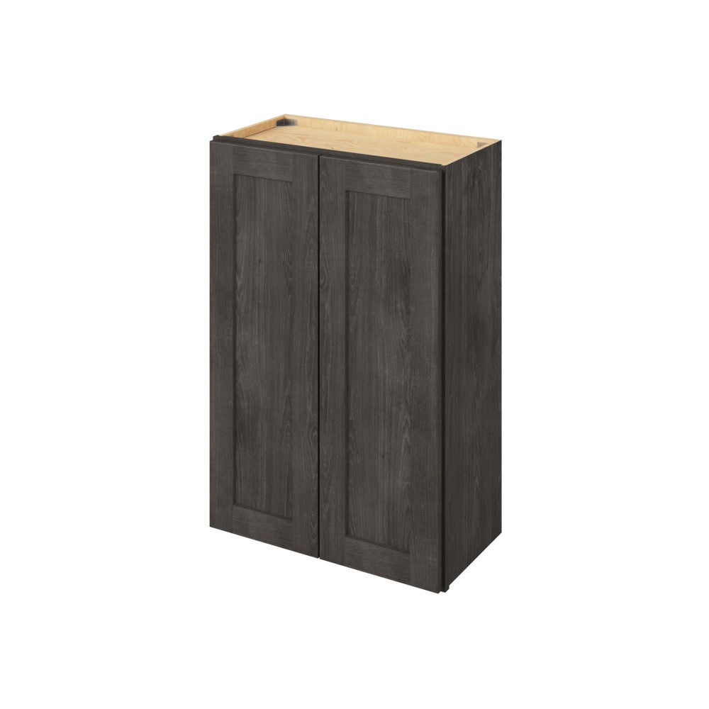 24" x 36" Wall Cabinet, 2 Doors, 2 Shelves